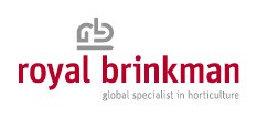 Logo Royal Brinkman 233x118px