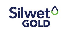 Logo Silwet Gold 233x118px